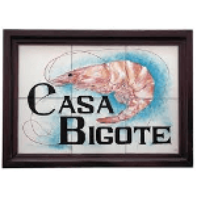 Casa Bigote