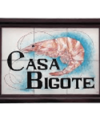 Casa Bigote