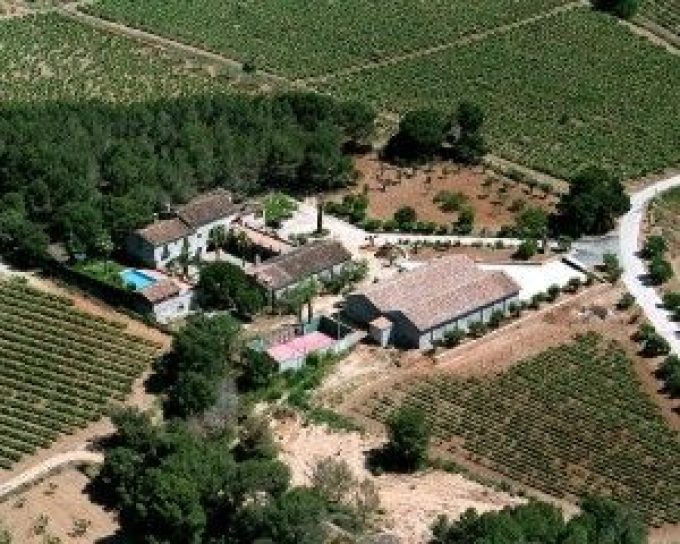 Emendis &#8211; Vinos y Cavas de Finca